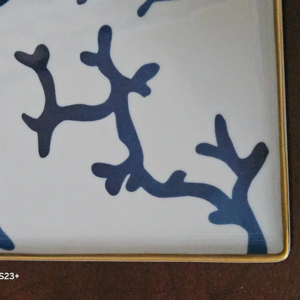 Raynaud Limoges this authentic